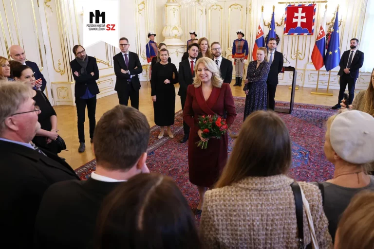 Civil szervezet képviselőinek újévi fogadása az elnöki palotában